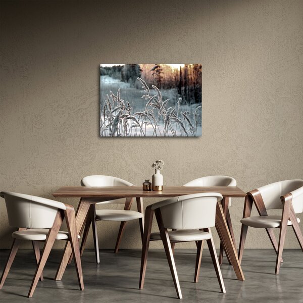 Obraz - Frozen Meadow (70x50 cm)