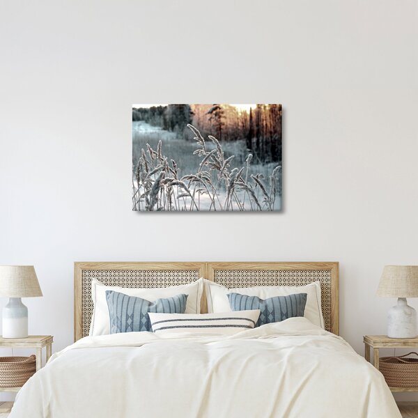 Obraz - Frozen Meadow (70x50 cm)