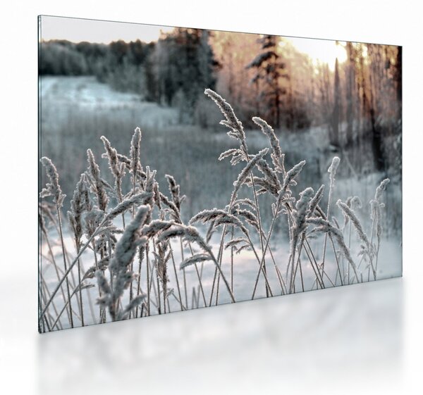 Obraz na szkle - Frozen Meadow (70x50 cm)