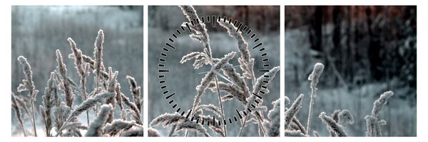 Obraz - Frozen Meadow (z zegarem) (90x30 cm)