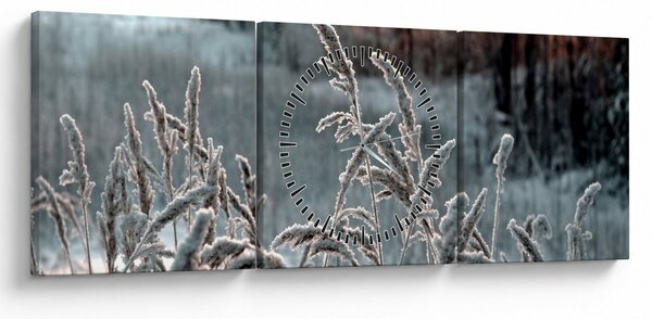 Obraz - Frozen Meadow (z zegarem) (90x30 cm)