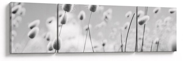 Obraz - Trawa z ogonkiem króliczka Boho (170x50 cm)