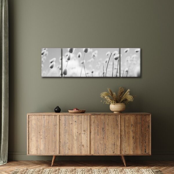 Obraz - Trawa z ogonkiem króliczka Boho (170x50 cm)