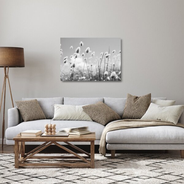 Obraz na szkle - Trawa z ogonkiem króliczka Boho (70x50 cm)