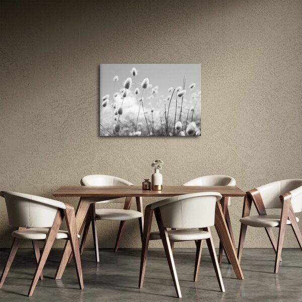 Obraz - Trawa z ogonkiem króliczka Boho (70x50 cm)