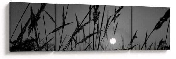 Obraz - Łąka z zachodem słońca (170x50 cm)