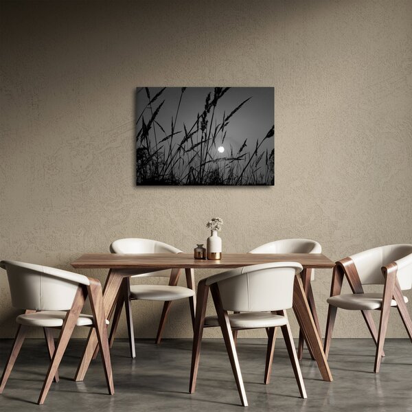 Obraz - Łąka z zachodem słońca (70x50 cm)
