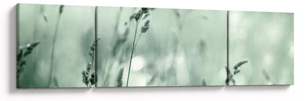Obraz - Zielona łąka (170x50 cm)