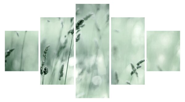Obraz - Zielona łąka (125x70 cm)