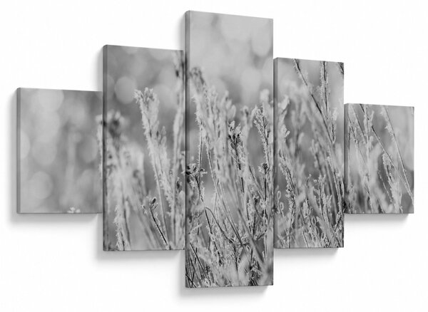 Obraz - Mroźna zima (125x70 cm)