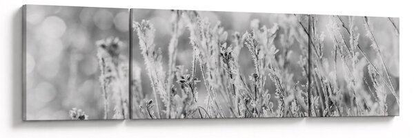 Obraz - Mroźna zima (170x50 cm)