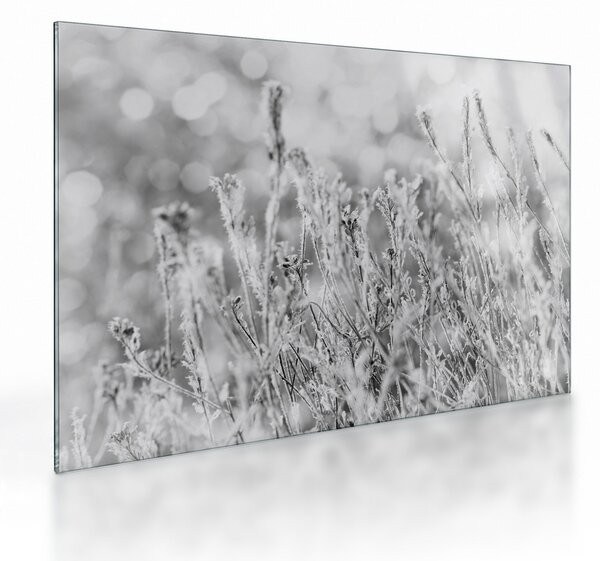 Obraz na szkle - Mroźna zima (70x50 cm)
