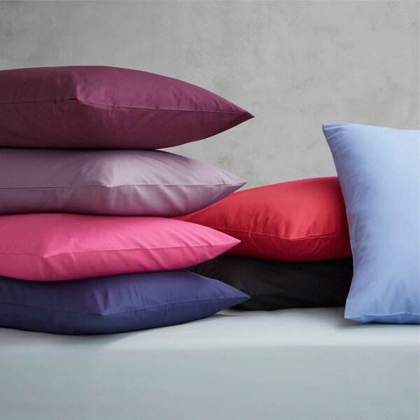 Szare prześcieradło z perkalu 180x260 cm Easy Iron Percale – Catherine Lansfield