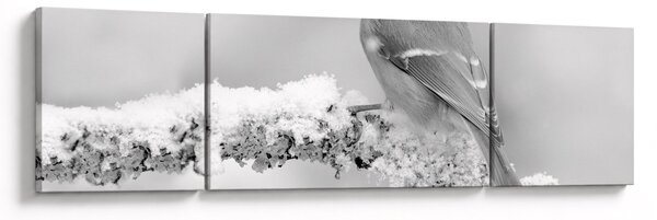 Obraz - Ptak na gałęzi (170x50 cm)
