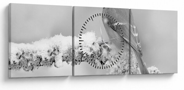 Obraz - Ptak na gałęzi (z zegarem) (90x30 cm)