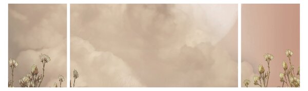 Obraz - Różowa pełnia księżyca (170x50 cm)