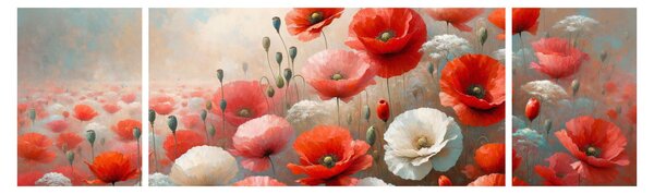 Obraz - Obraz z makami (170x50 cm)