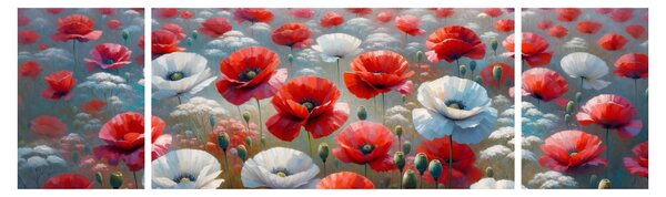 Obraz - Pole maków (170x50 cm)