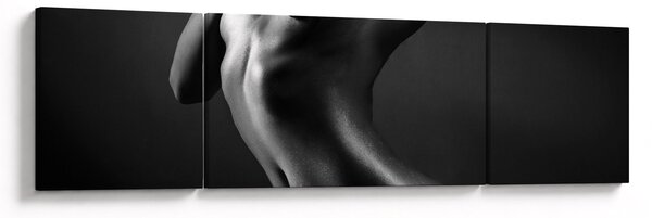 Obraz - Nagie kobiety (170x50 cm)