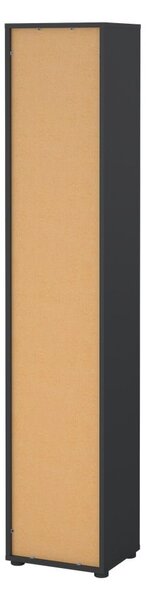Antracytowo-naturalny regał w dekorze dębu 41x205 cm Sign – Tvilum