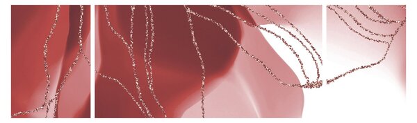 Obraz - Czerwony abstrakcyjny kwiat N⁰1 (170x50 cm)