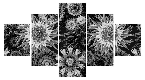 Obraz - Czarne i białe osty (125x70 cm)