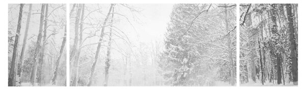 Obraz - Drewniane molo zimą (170x50 cm)