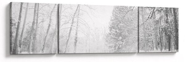 Obraz - Drewniane molo zimą (170x50 cm)