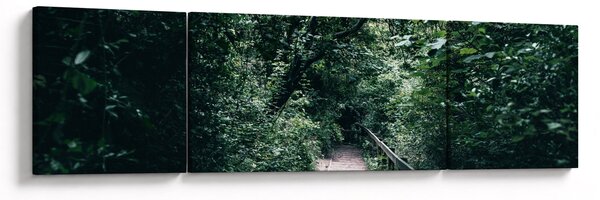 Obraz - Ścieżka przez las (170x50 cm)