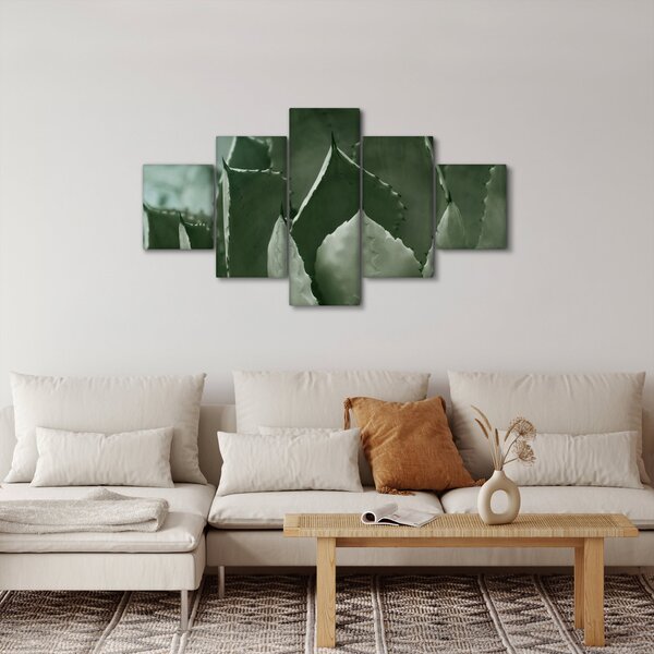 Obraz - Zielona agawa (125x70 cm)