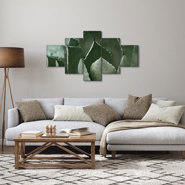 Obraz - Zielona agawa (125x70 cm)
