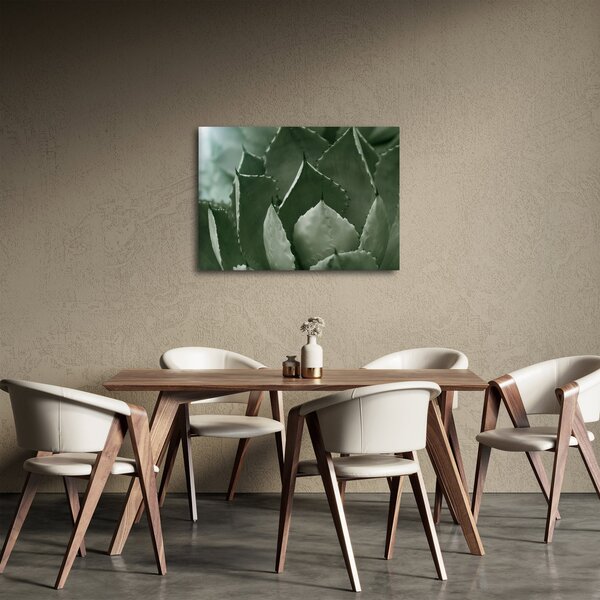 Obraz - Zielona agawa (70x50 cm)