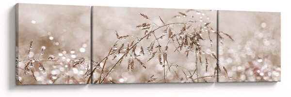 Obraz - Łąka w odcieniach brązu (170x50 cm)