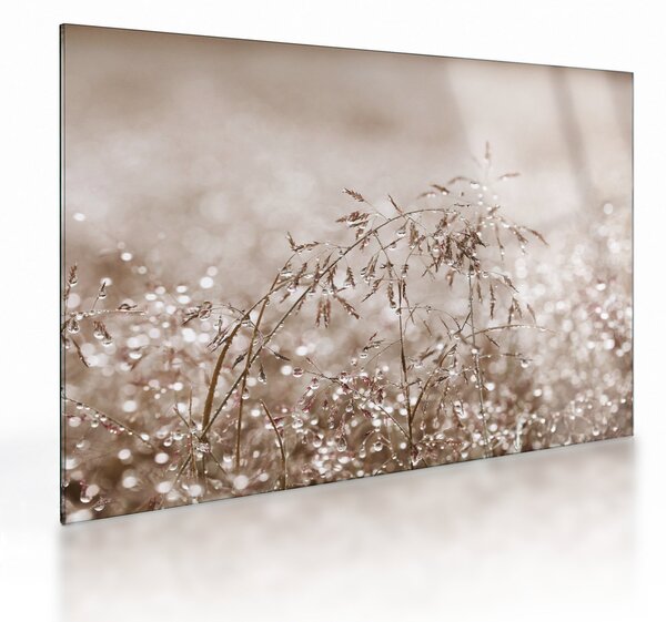 Obraz na szkle - Łąka w odcieniach brązu (70x50 cm)