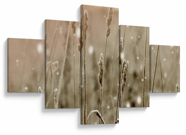 Obraz - Harmonious Meadow (125x70 cm)
