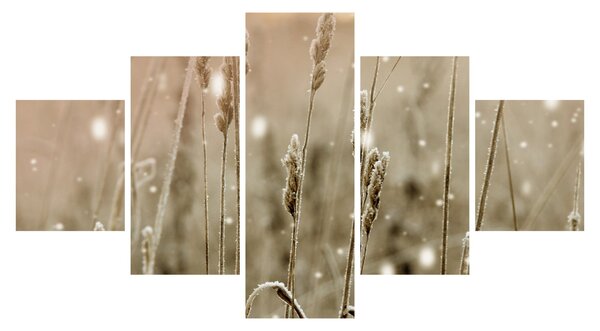 Obraz - Harmonious Meadow (125x70 cm)