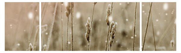 Obraz - Harmonious Meadow (170x50 cm)