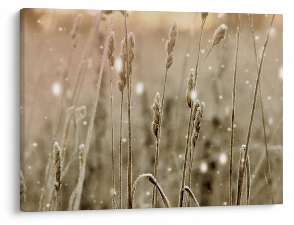 Obraz - Harmonious Meadow (70x50 cm)