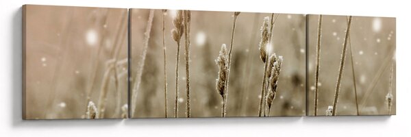 Obraz - Harmonious Meadow (170x50 cm)