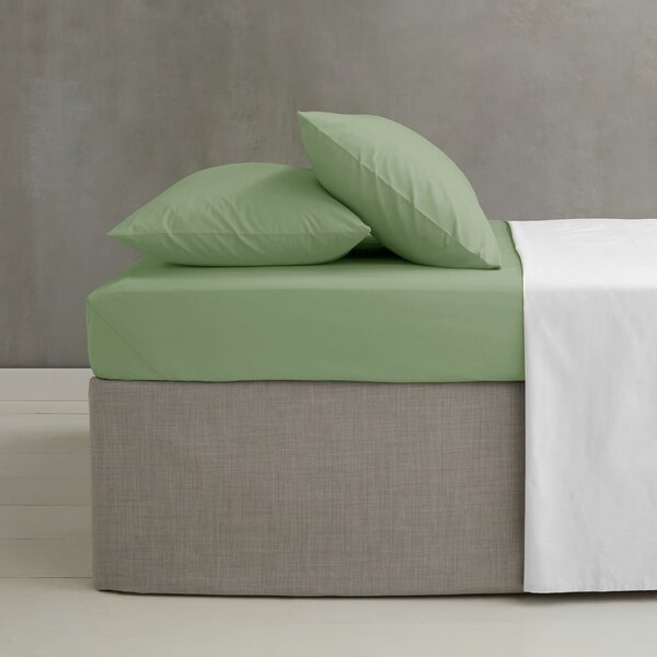 Zielone prześcieradło z perkalu z gumką 90x190 cm Easy Iron Percale – Catherine Lansfield
