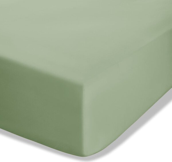 Zielone prześcieradło z perkalu z gumką 90x190 cm Easy Iron Percale – Catherine Lansfield