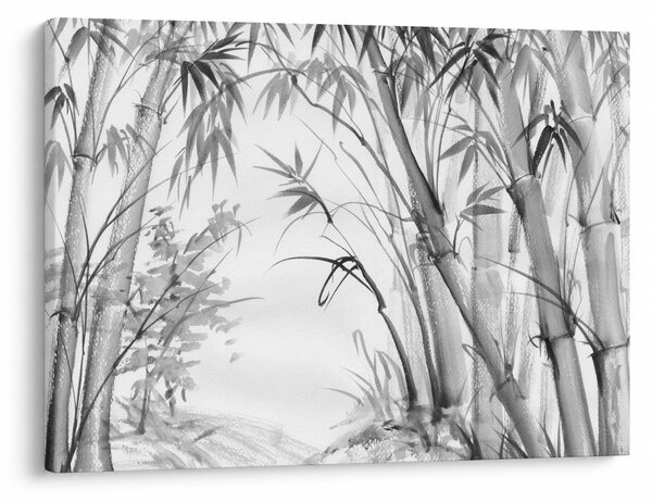 Obraz - Las bambusowy (70x50 cm)