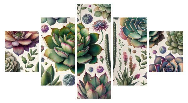 Obraz - Sukulenty (125x70 cm)