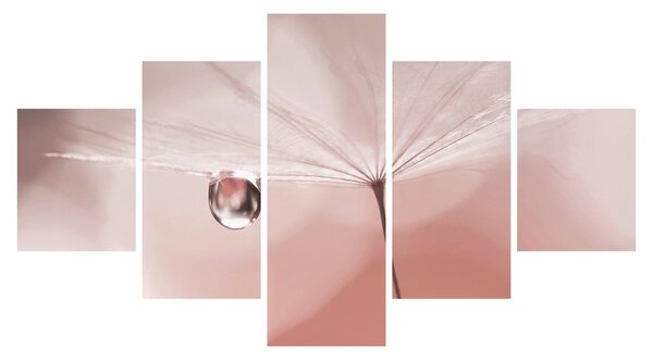 Obraz - Kropla rosy (125x70 cm)