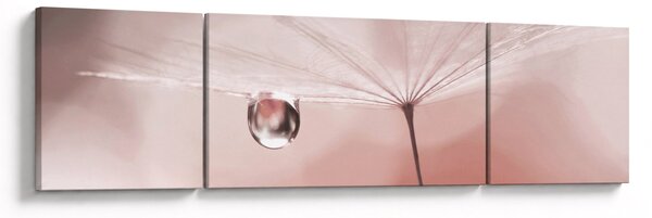 Obraz - Kropla rosy (170x50 cm)