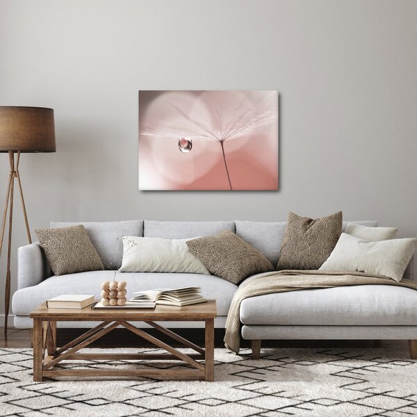 Obraz - Kropla rosy (70x50 cm)