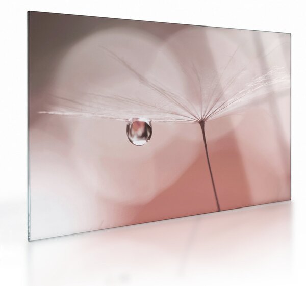 Obraz na szkle - Kropla rosy (70x50 cm)