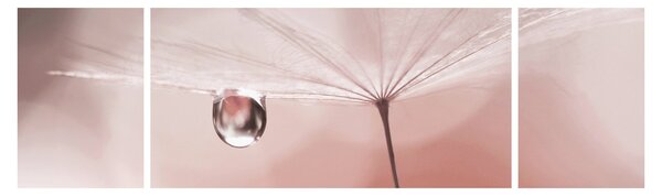 Obraz - Kropla rosy (170x50 cm)