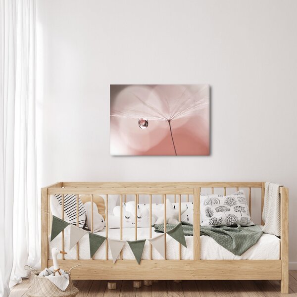 Obraz - Kropla rosy (70x50 cm)