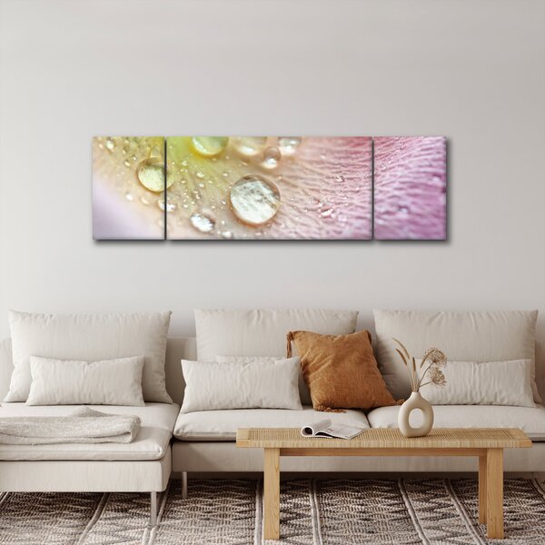 Obraz - Krople rosy (170x50 cm)